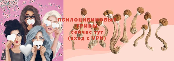 МДМА Заводоуковск