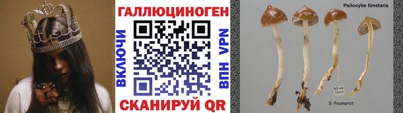 Купить где  Шарыпово  Галлюциногенные грибы ЛСД 